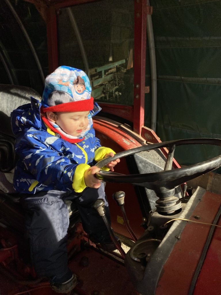 Les Mini Trotteurs À La Ferme2