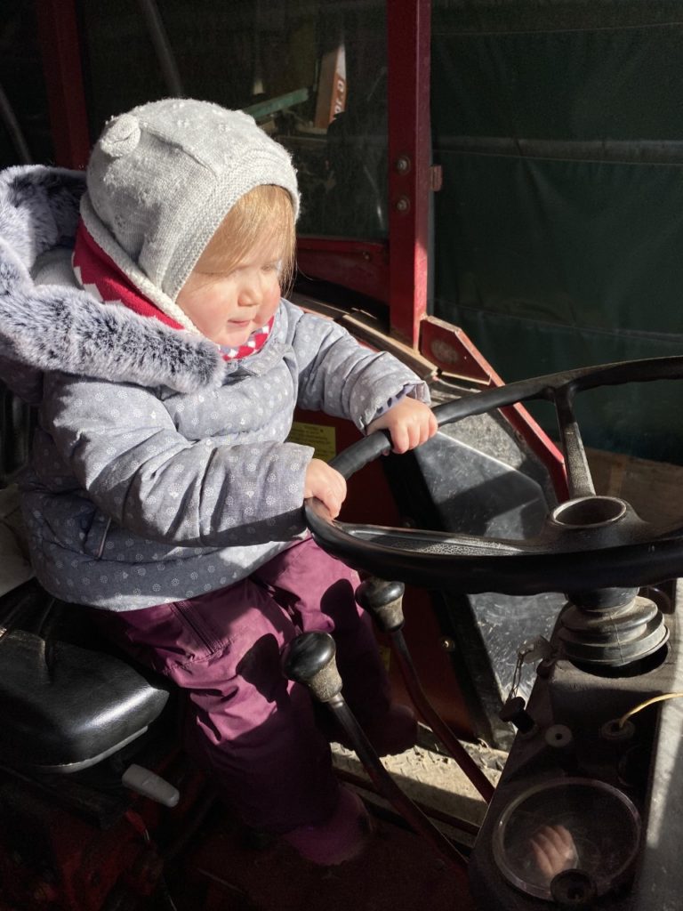 Les Mini Trotteurs À La Ferme3