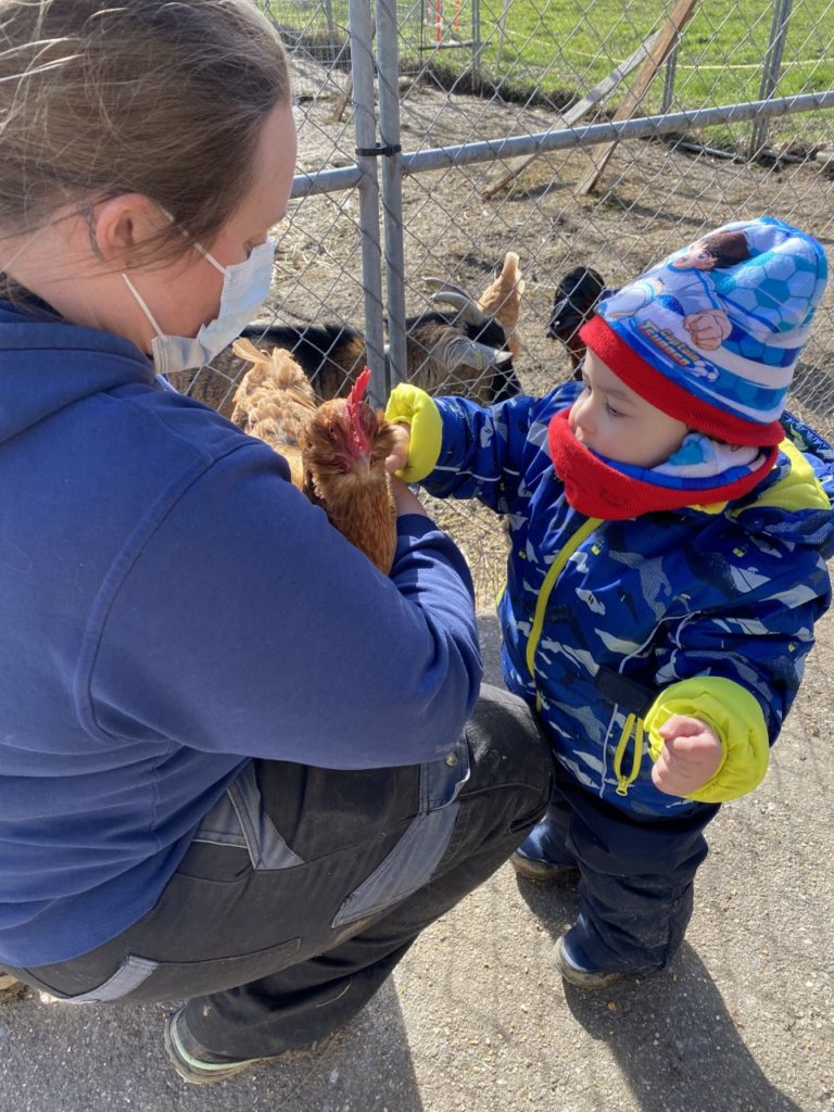 Les Mini Trotteurs À La Ferme6