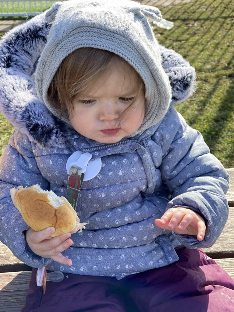 Les Mini Trotteurs À La Ferme8