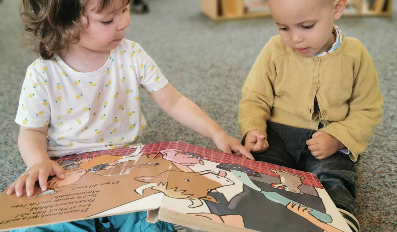 Éveil Mensuel À La Littérature