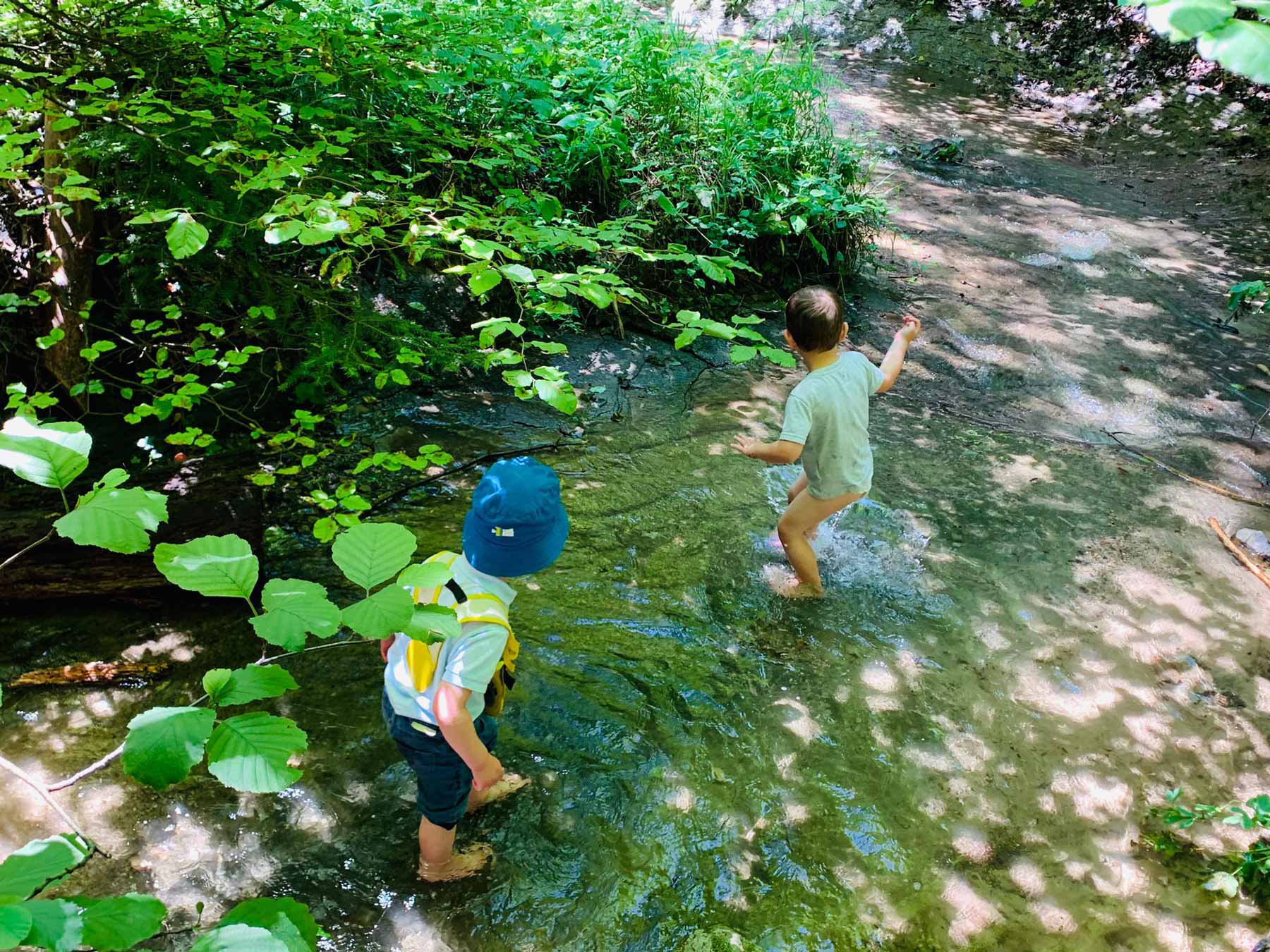 Les Enfants Des Bois Sont De Retour