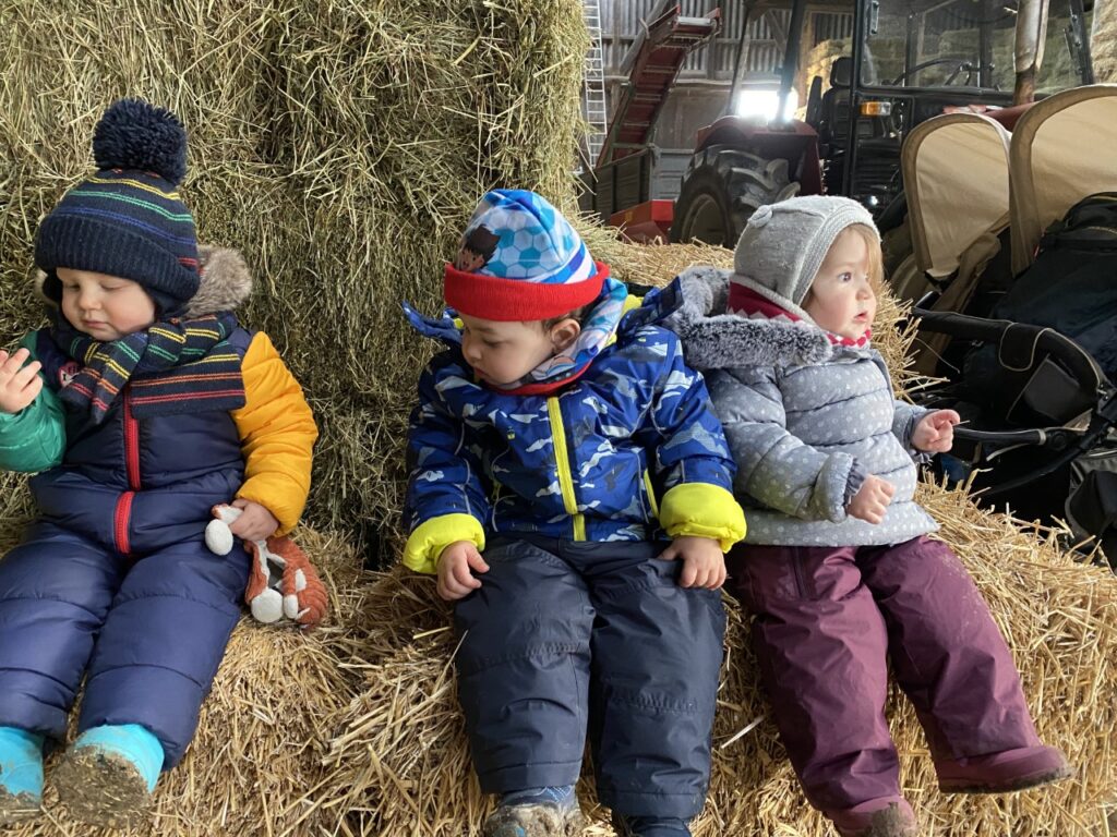 Les Mini Trotteurs À La Ferme