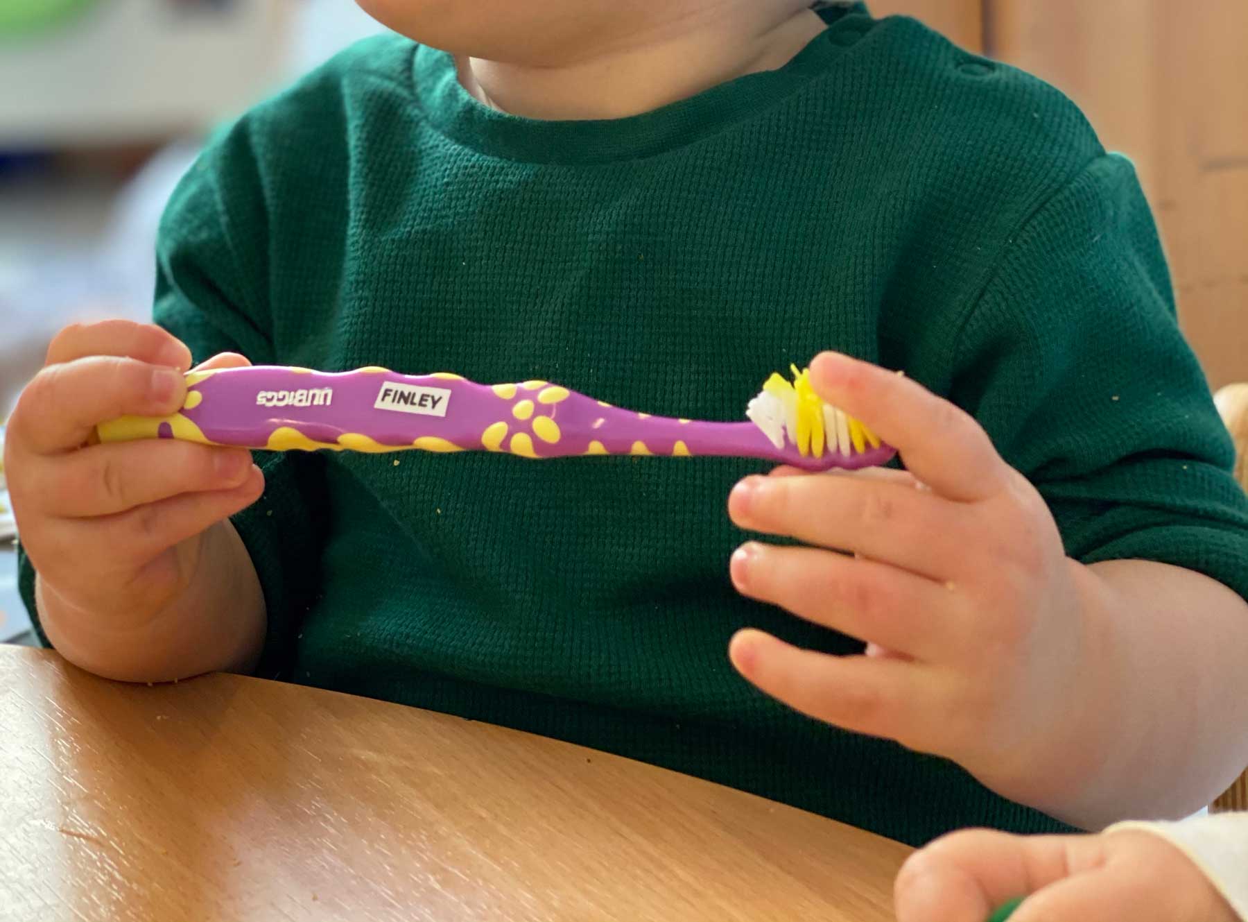 Les Mini Trotteurs En Route Vers L Autonomie !