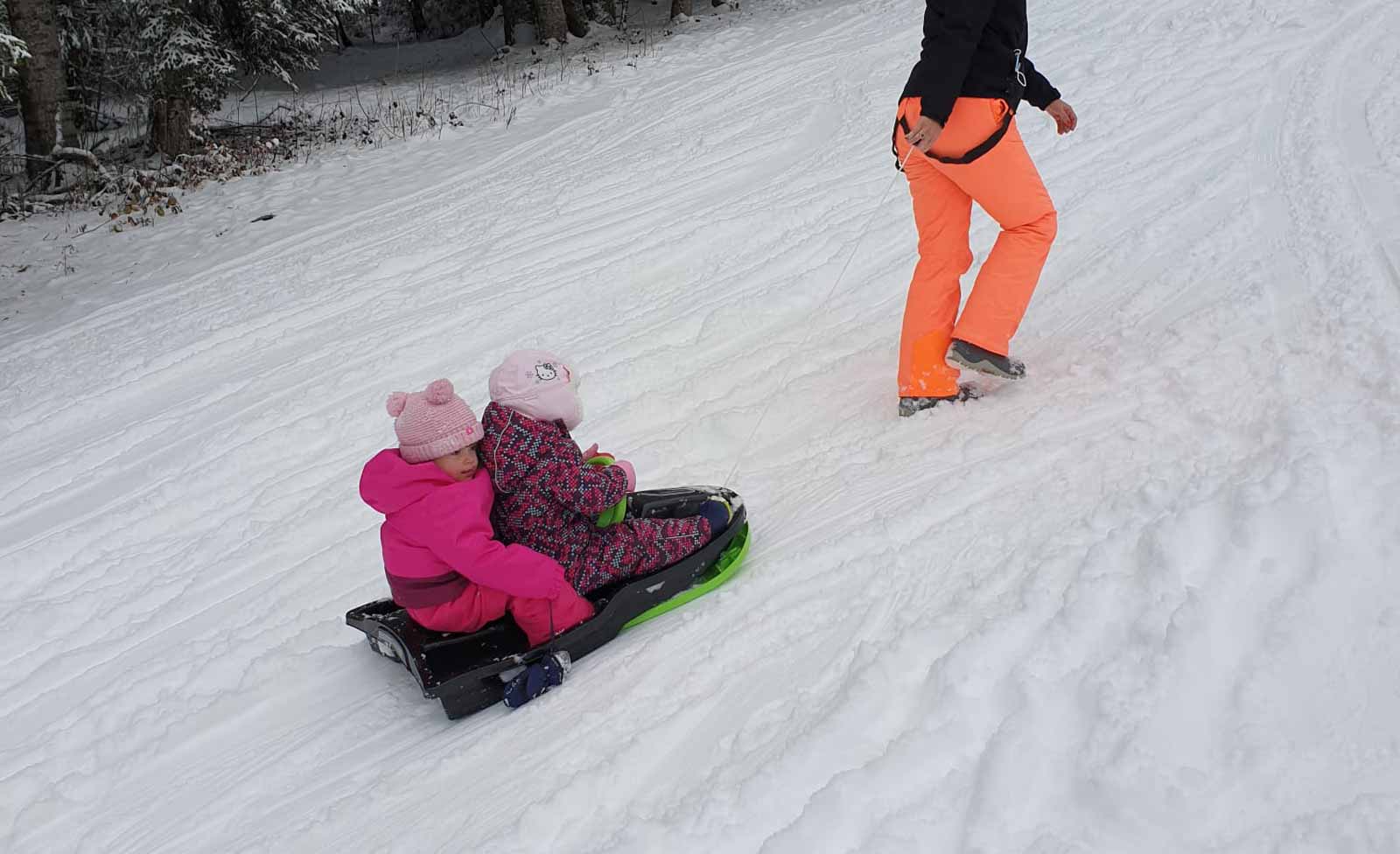 Les Trotteurs Profitent Des Premières Neiges Aux Paccots