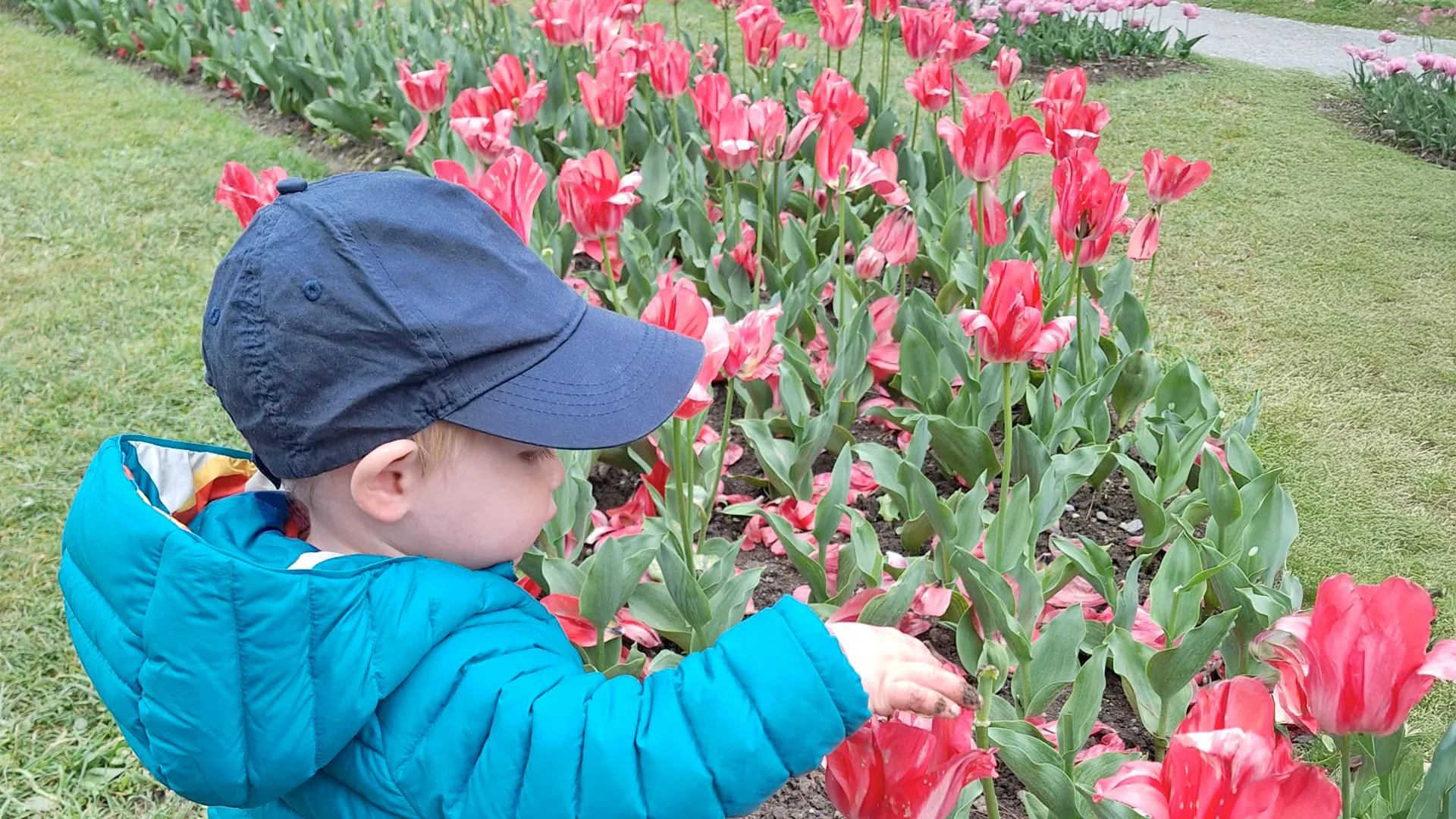 Groupe de Mini-Trotteurs observant les fleurs à la Fête de la Tulipe à Morges, accompagnés de leurs éducatrices.
