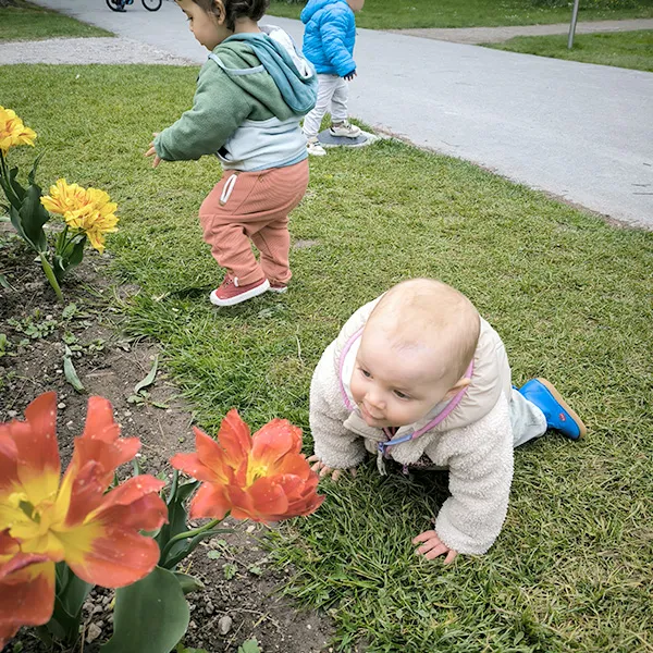 Vue des enfants de la crèche à Lausanne profitant de la nature à Morges, entourés de tulipes en fleur.
