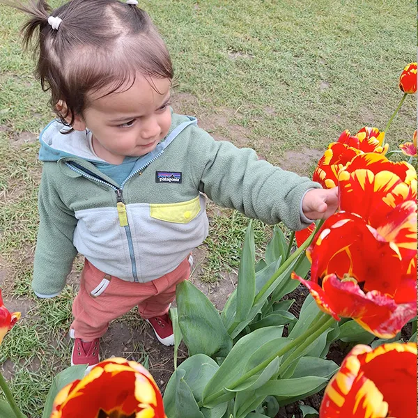 Enfants de la crèche Les Petits Acrobates marchant parmi les tulipes colorées à Morges, lors d’une sortie depuis Lausanne.