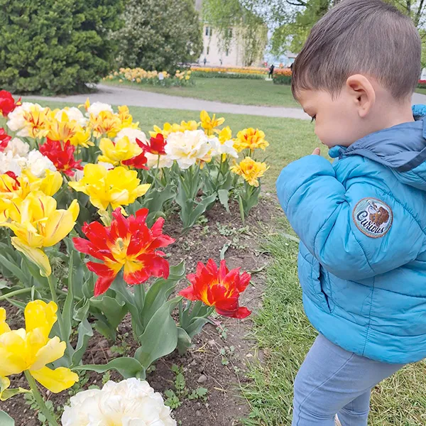 Enfants de la crèche Les Petits Acrobates marchant parmi les tulipes colorées à Morges, lors d’une sortie depuis Lausanne.