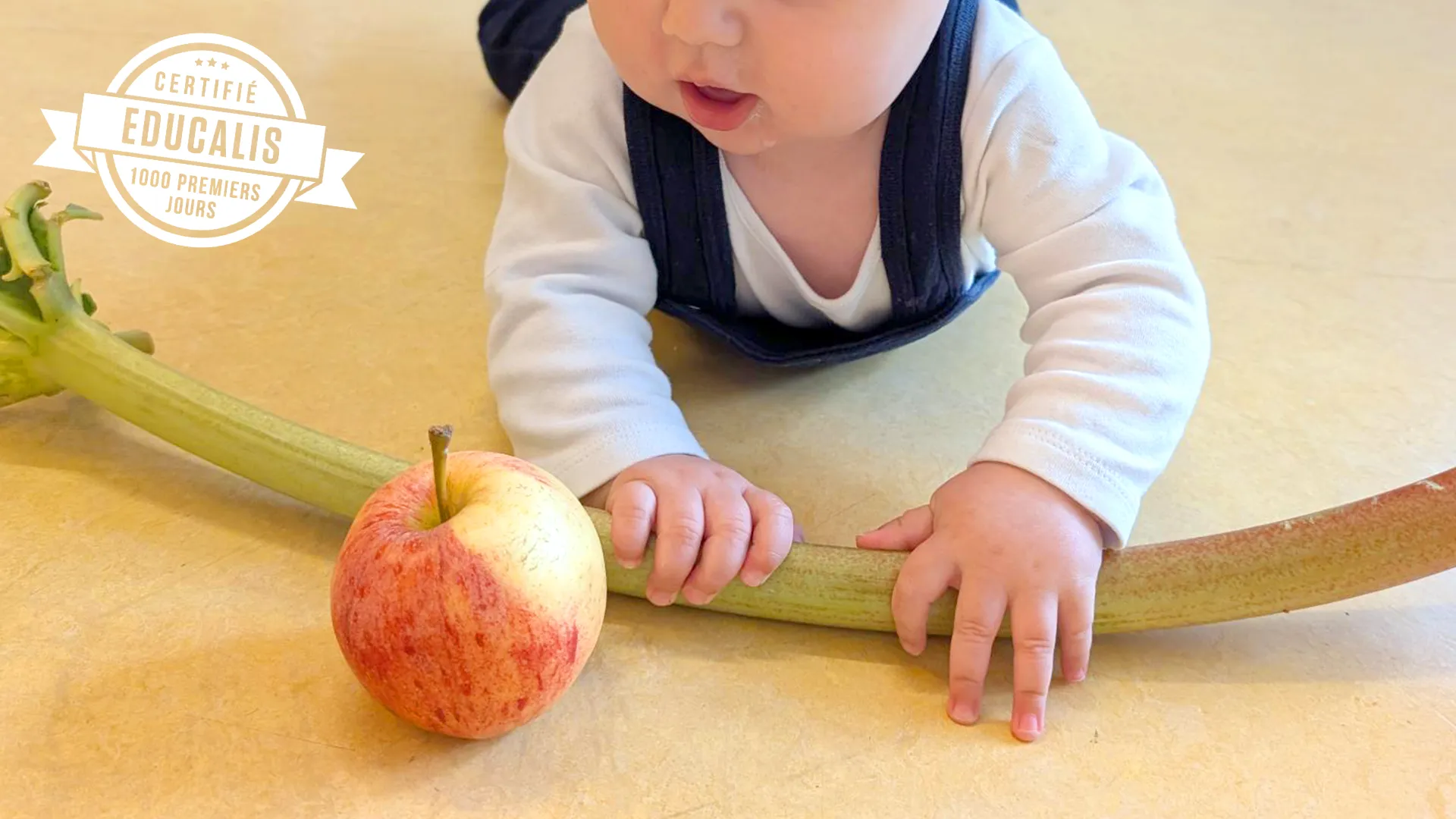 Enfant de la nursery touchant une pomme et une rhubarbe avant la préparation à la crèche Les Petits Acrobates à Lausanne.