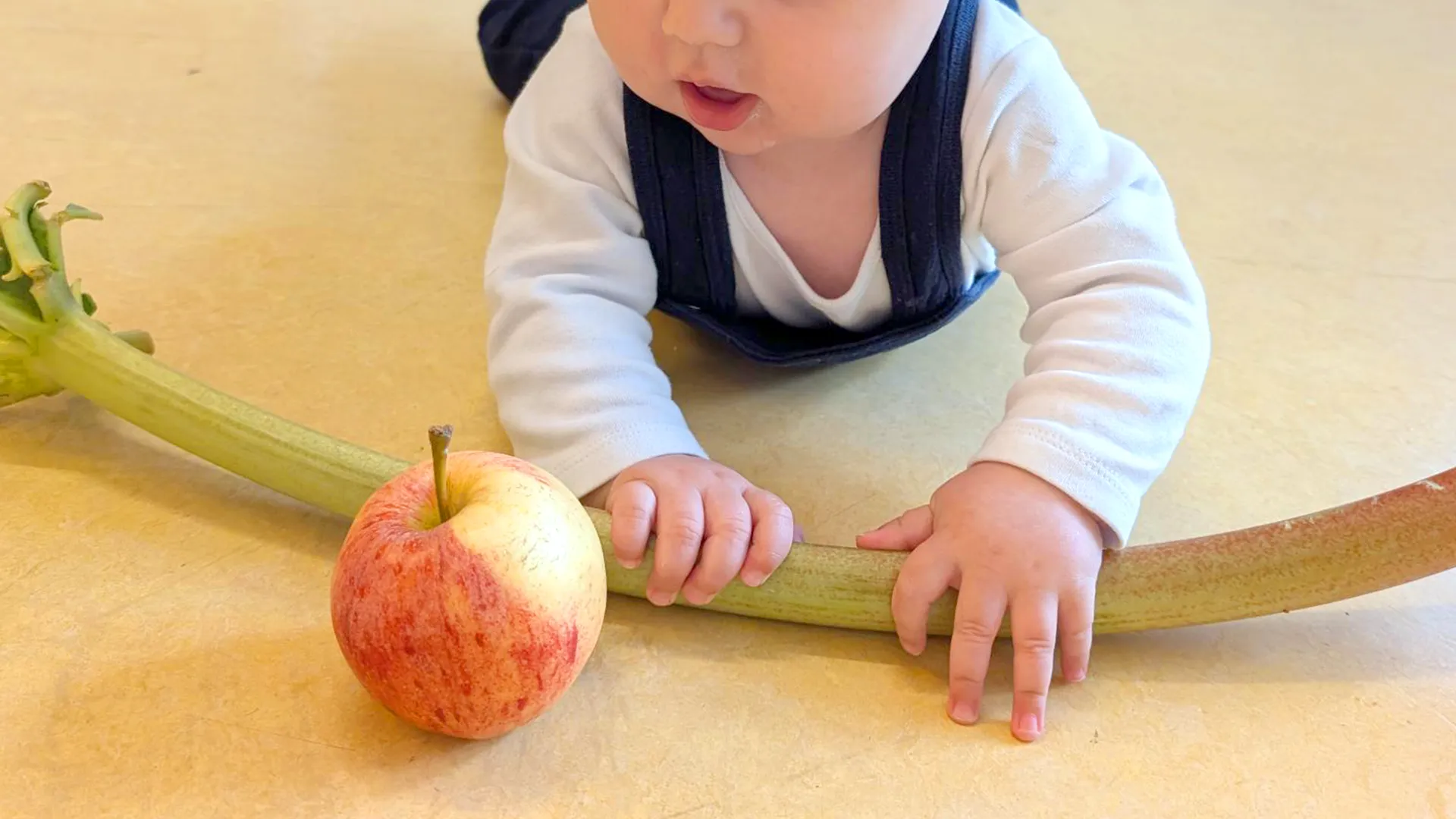 Enfant de la nursery touchant une pomme et une rhubarbe avant la préparation à la crèche Les Petits Acrobates à Lausanne.