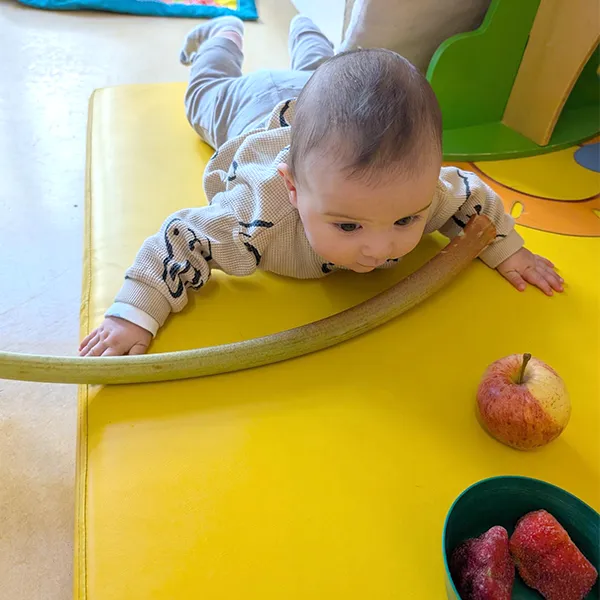 Enfant de la nursery touchant une pomme et une rhubarbe avant la préparation à la crèche Les Petits Acrobates à Lausanne.