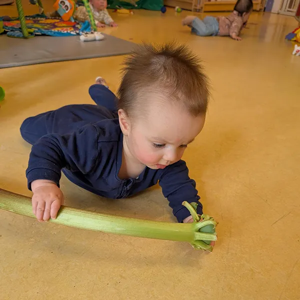 Enfant de la nursery touchant une pomme et une rhubarbe avant la préparation à la crèche Les Petits Acrobates à Lausanne.