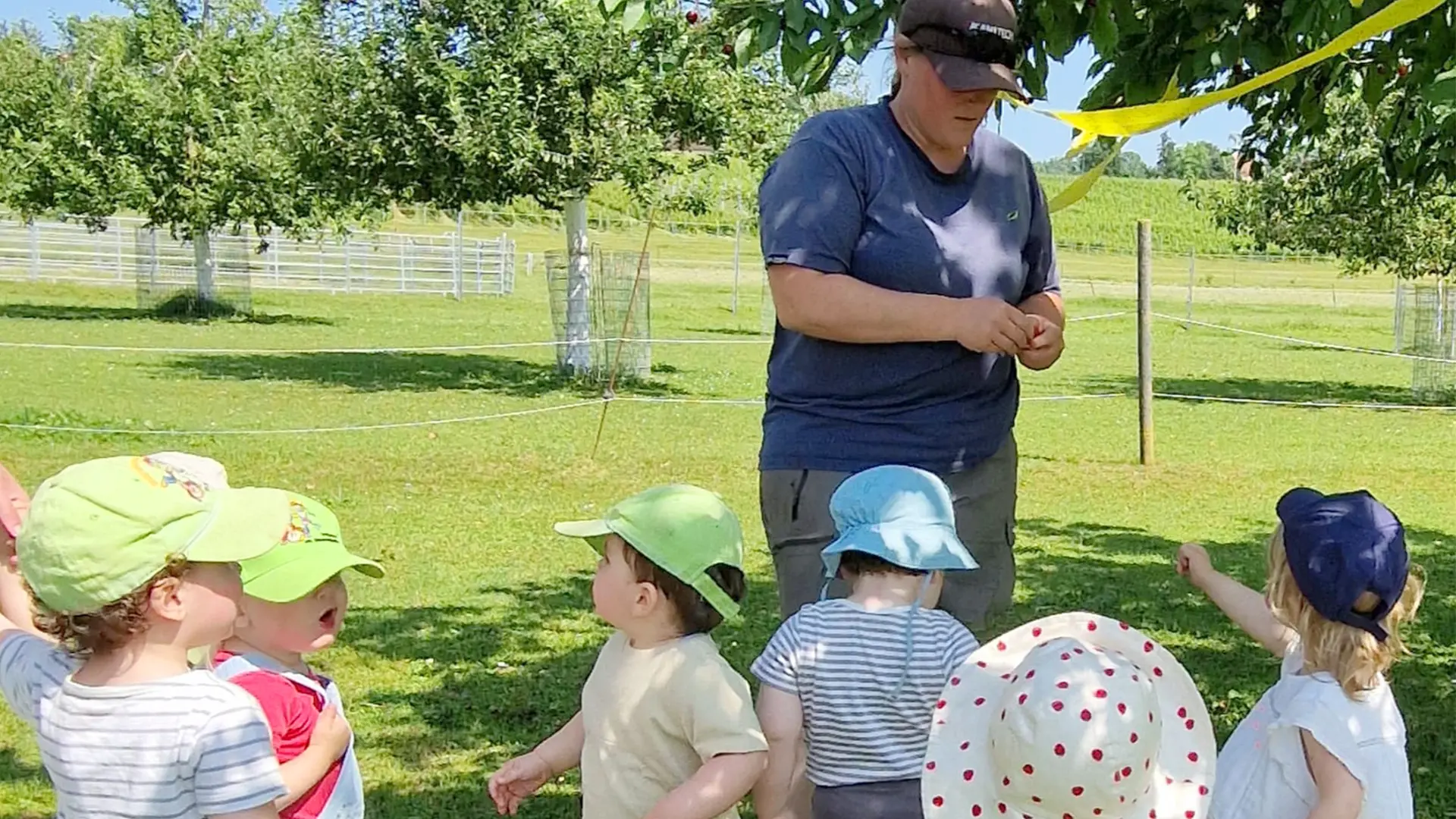 Les Petits Acrobates Cerises Ferme 00