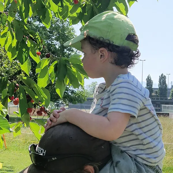 Les Petits Acrobates Cerises Ferme 07