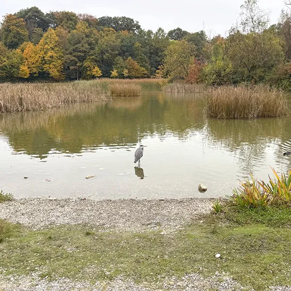 Les Petits Acrobates Nature Et Decouverte 03
