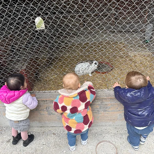 Les Petits Acrobates Nature Et Decouverte 04