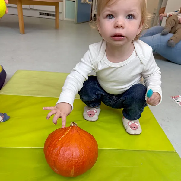 Les Petits Acrobates - Atelier Courges - Automne Lausanne