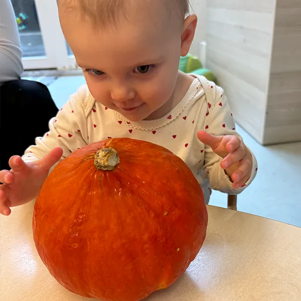 Les Petits Acrobates - Atelier Courges - Automne Lausanne