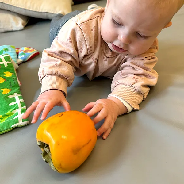 Petits Acrobates Nurserie Fruits Automne01