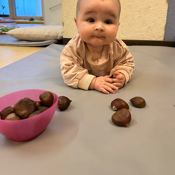 Petits Acrobates Nurserie Fruits Automne02