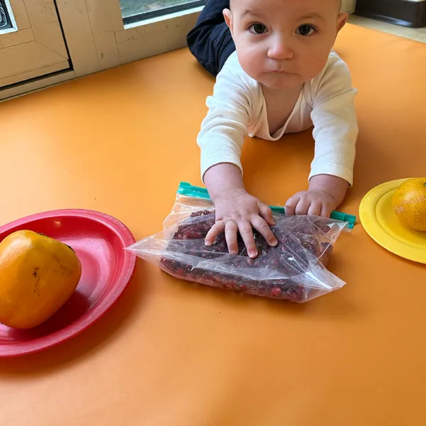 Petits Acrobates Nurserie Fruits Automne03