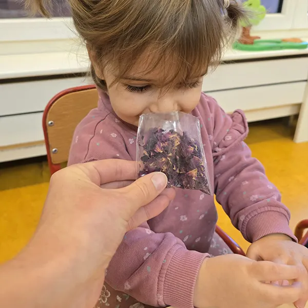 Petits Acrobates Trotteurs Bougie Cire Abeille 01