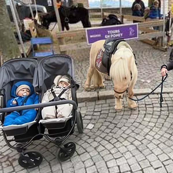 Les Petits Acrobates Rencontre Poney Eveil Sensoriel 01