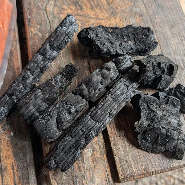 Petits Acrobates Dessin Charbon Enfants Lausanne 03