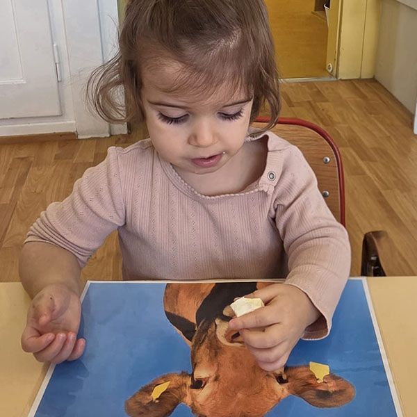 Petits Acrobates Decouverte Vache Degustation Lausanne 04