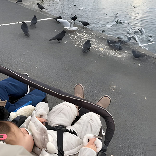 Petits Acrobates Sortie Lac Mini Trotteurs Lausanne 02