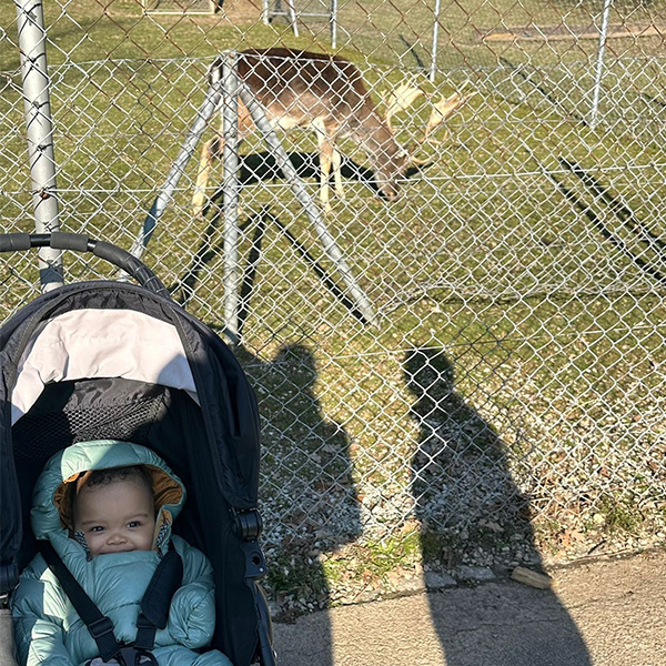 Sortie Nature Biches Nurserie Creche Les Petits Acrobates Pully 03
