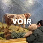 Petits Acrobates Musee Art Bebe Lausanne Montchoisi 00b