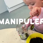 Plantation Graines Creche Lausanne Montchoisi 00