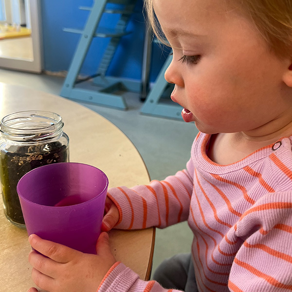 Plantation Graines Creche Lausanne Montchoisi 06