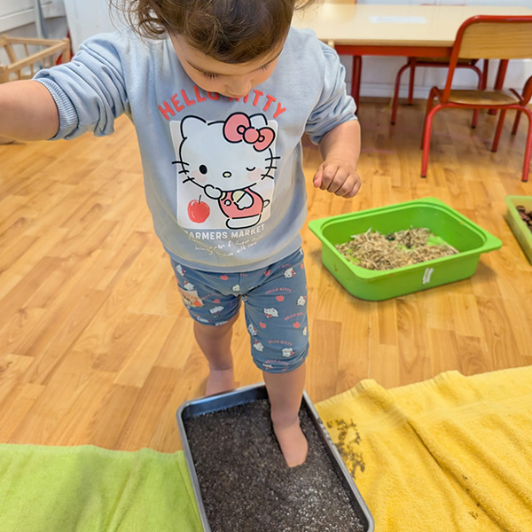 Petits Acrobates Empreintes Foret Lausanne 10