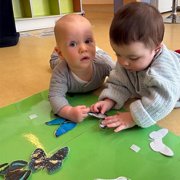 Petits Acrobates Empreintes Foret Lausanne 14