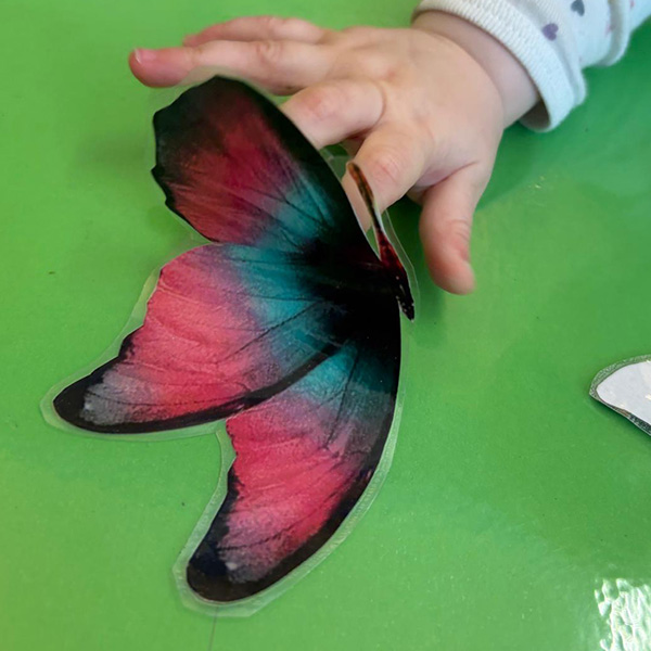 Petits Acrobates Empreintes Foret Lausanne 15