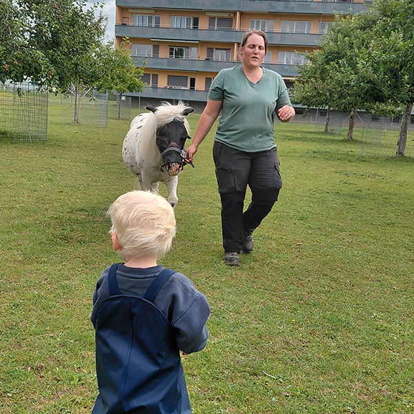 Petits Acrobates Ferme Morand Lausanne 05