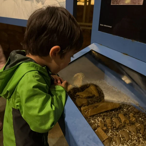 Les Petits Acrobates Mineraux Vallorbe 23