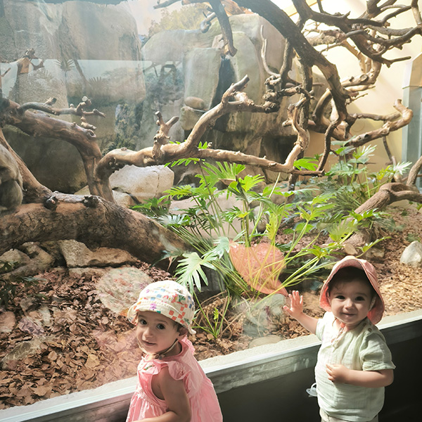 Les Petits Acrobates Vivant Lausanne Montchoisi 01