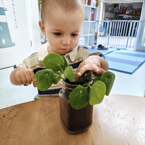 Les Petits Acrobates Jardinage Mini Trotteurs Lausanne Montchoisi 07